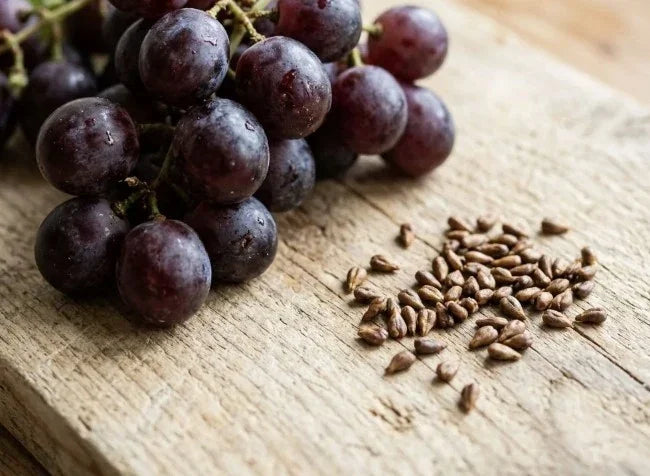 Livella MioFlow™ · mioflow ingredient grape seed extract